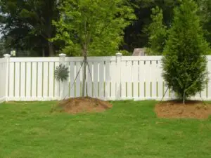 white fence with trees